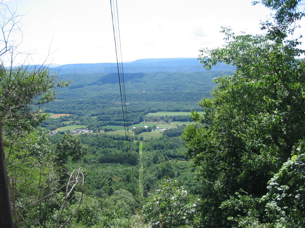 [998225367_5a20578fe6_o.jpg]