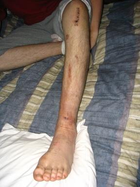 [512136591_1b010f8fd7_o.jpg]