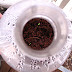 Seedling Experiment - Week 1