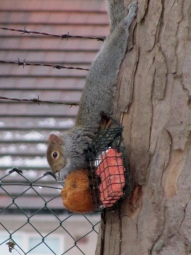 Just hangin' around...