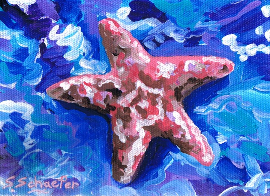 [starfish.jpg]