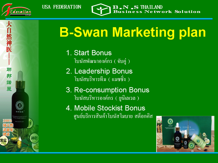 แผนการตลาด บี-สวอน B-Swan