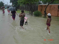 Terai floods