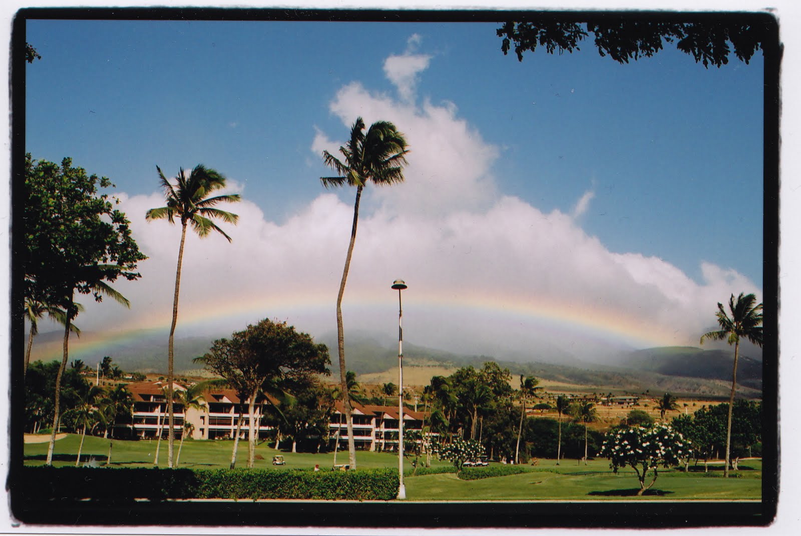 [hawaii+.jpg]