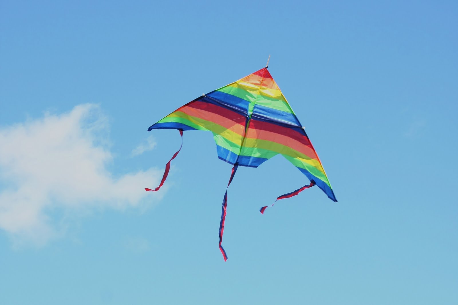 This Journey Kite Dance