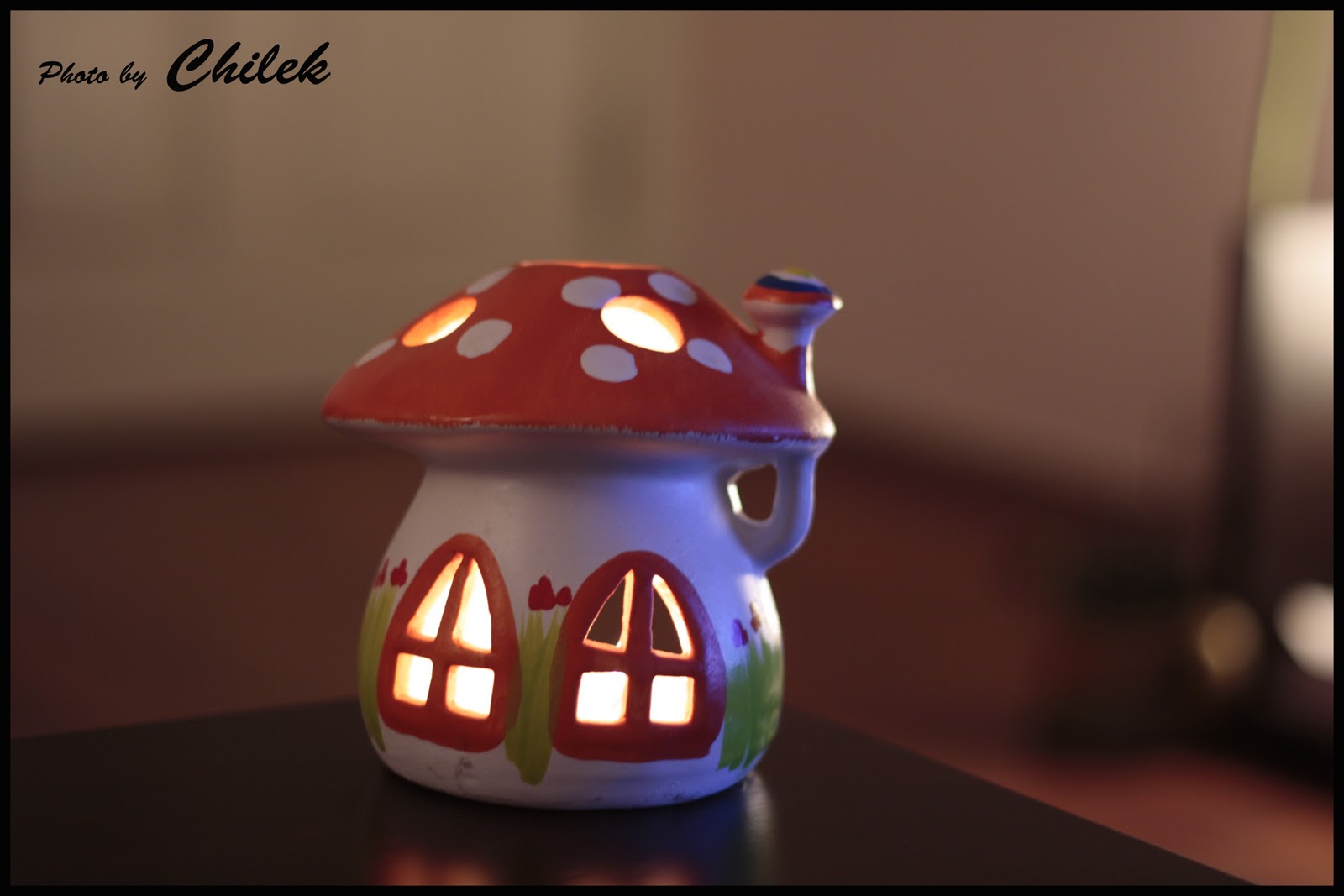 Chilek Kırmızı Kedi(mi?)…
