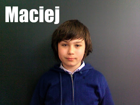 Media Consultant and Television Reporter- Maciej