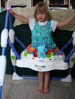 Fisher price deluxe jumperoo 2003 2025