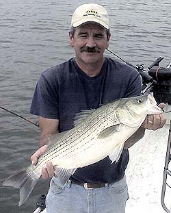 Lake Skiatook Oklahoma fishing report