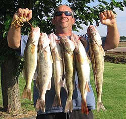 Lake Tom Steed Oklahoma fishing report - the saugeye are biting!