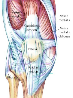 knee and patellar tracking