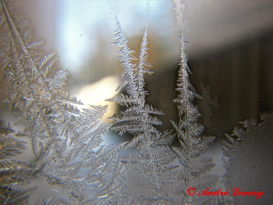 [Frost-in-Window2.jpg]
