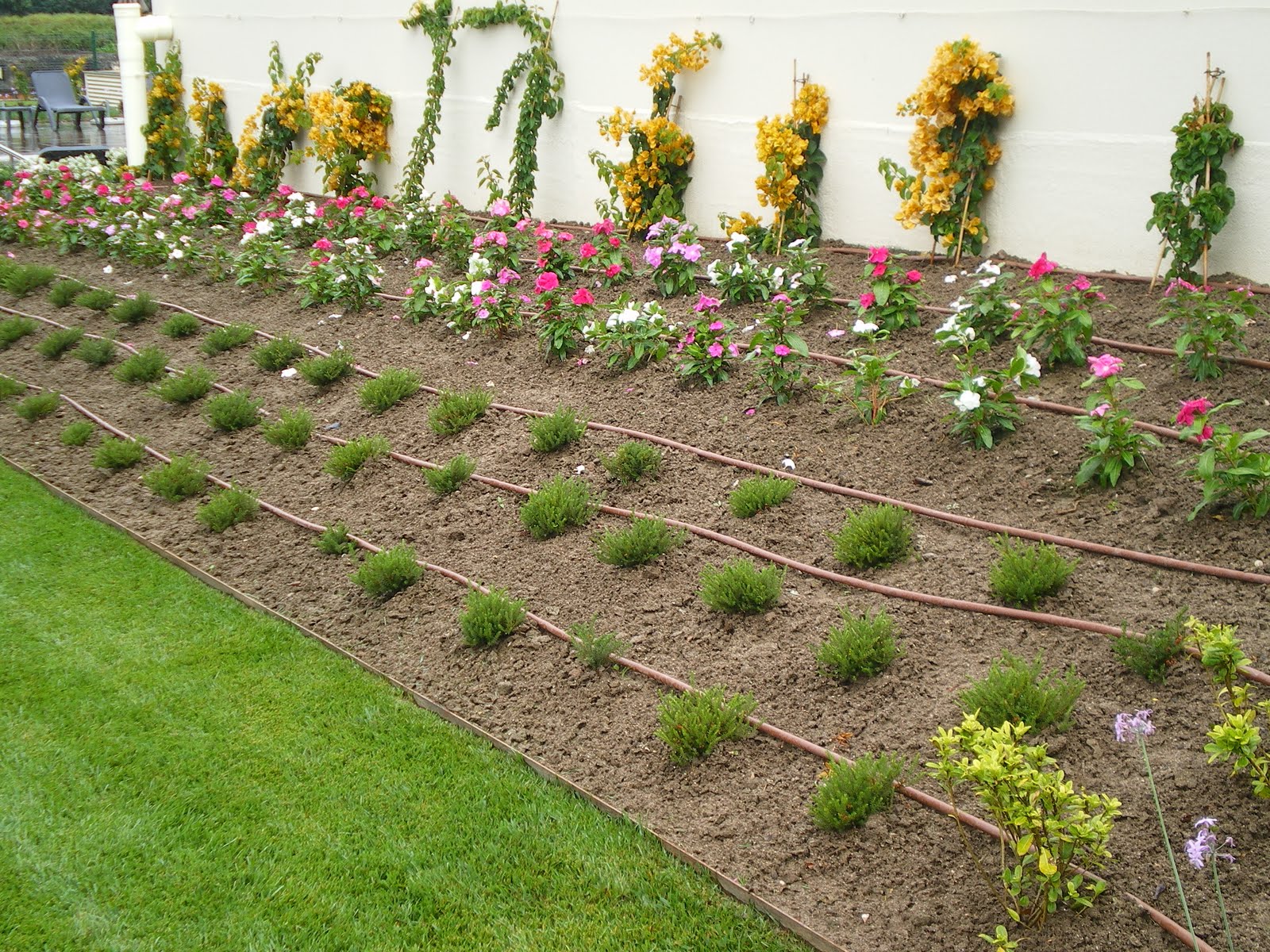 Francisco Cruz - Agricultura, Paisajismo, Césped deportivo: Perfección