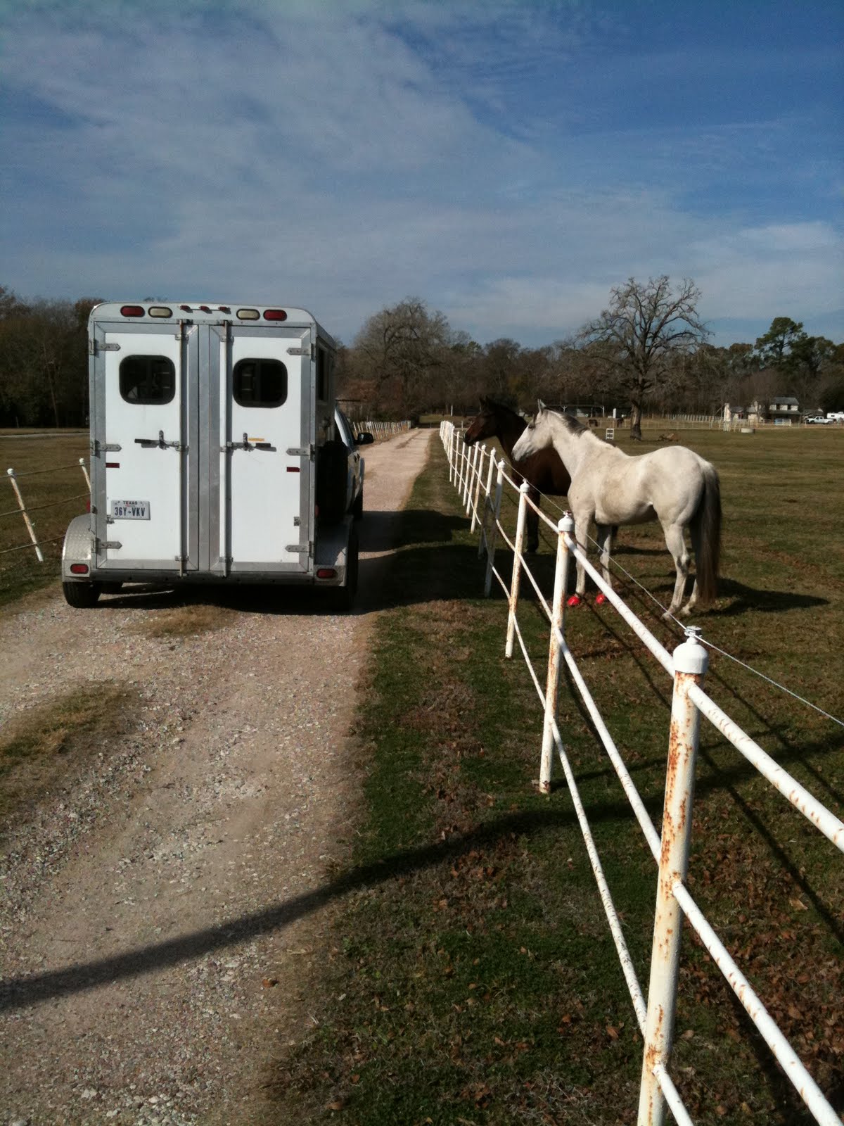 Animal Accolades Belle Terre Boot Camp