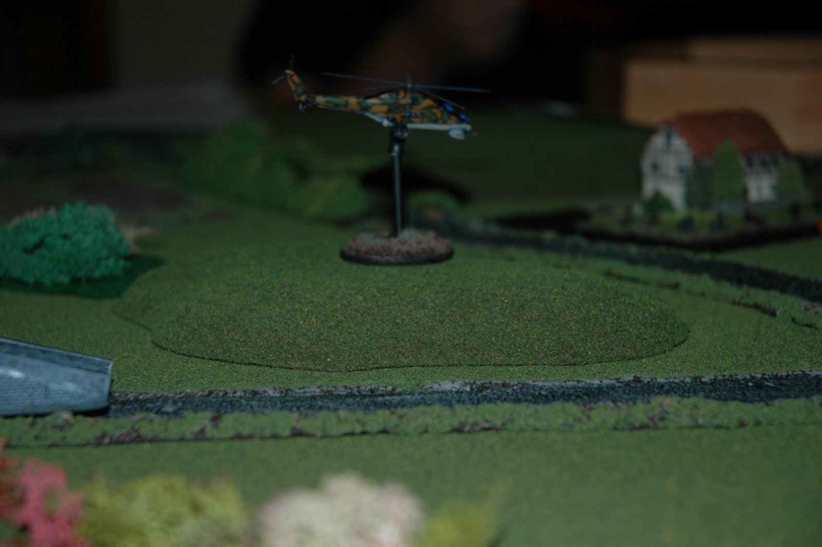 [Hind+E+on+the+prowl.JPG]