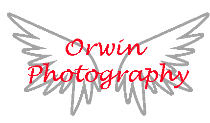 Orwin Photography