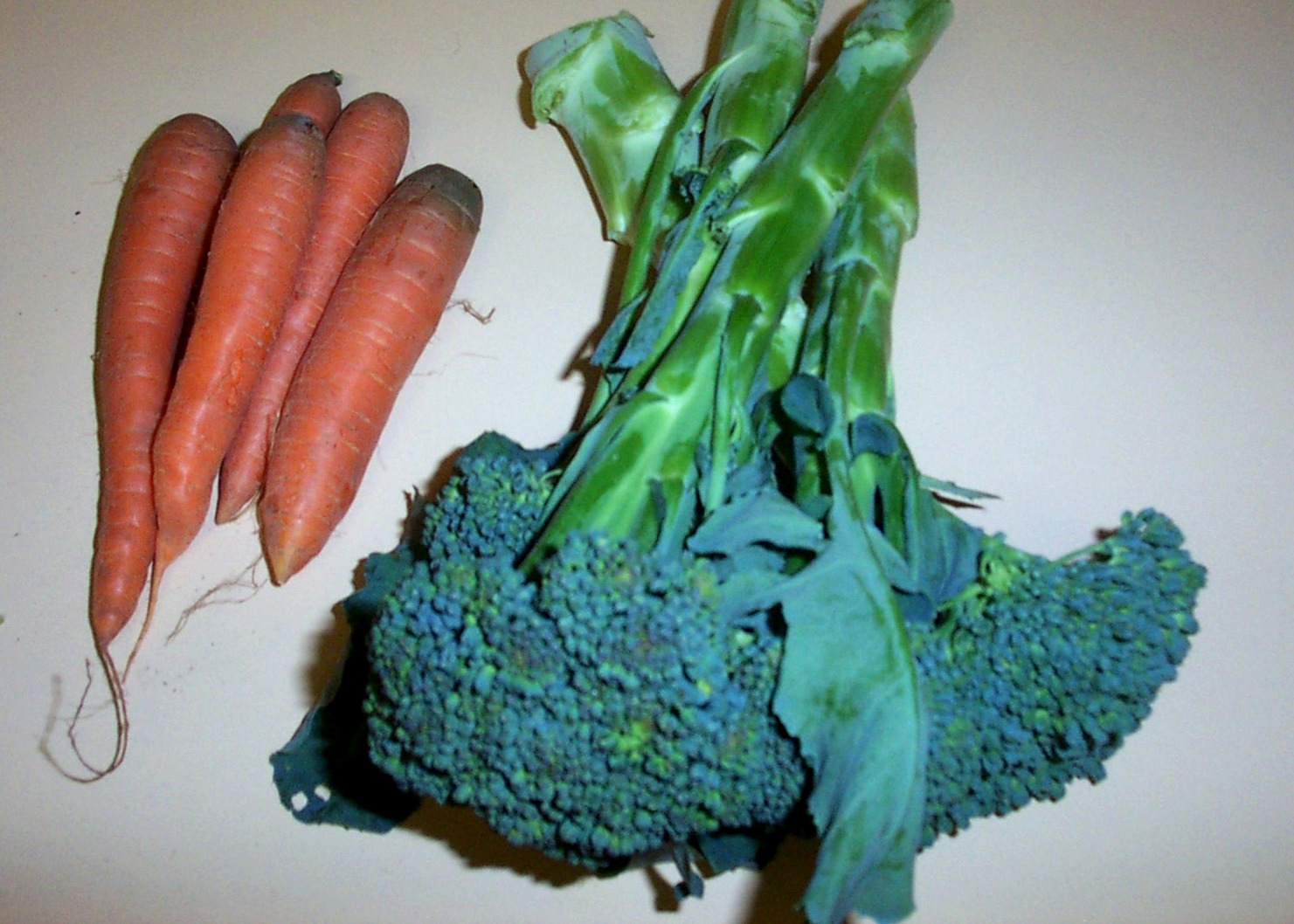 [05+Week+9+-+Carrots+Broccoli.jpg]