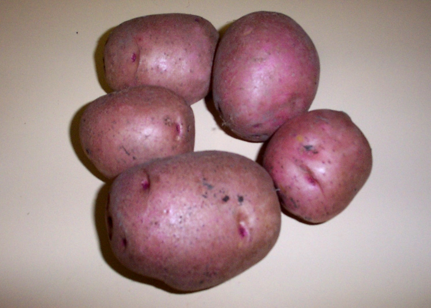 [07+Week+9+-+Potatoes.jpg]