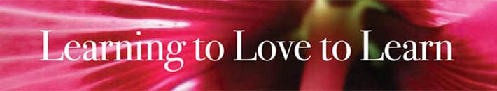 Learning to Love to Learn