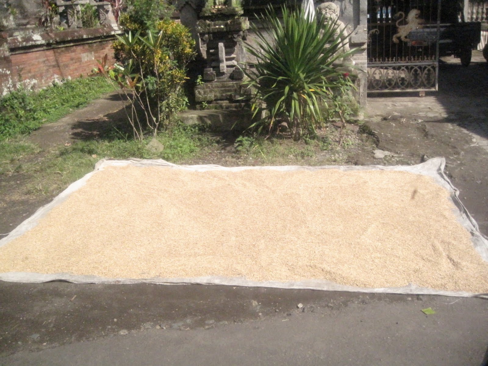 Waka Waka Land Tour - Nelson & Tanya's Bali Adventure