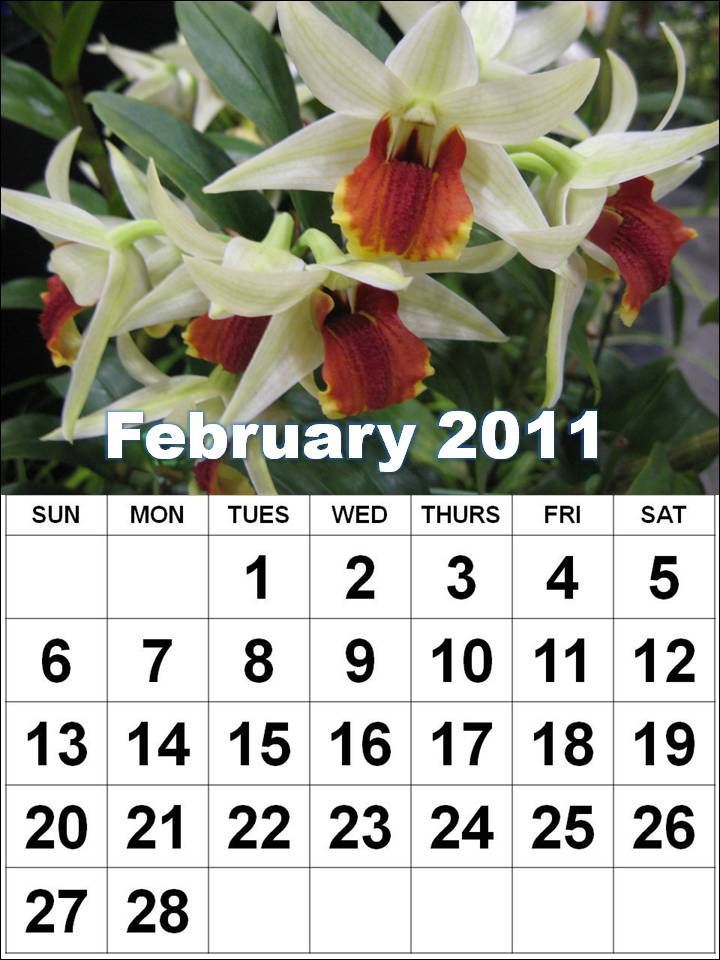 2011 calendar wallpaper free download. Download Printable February