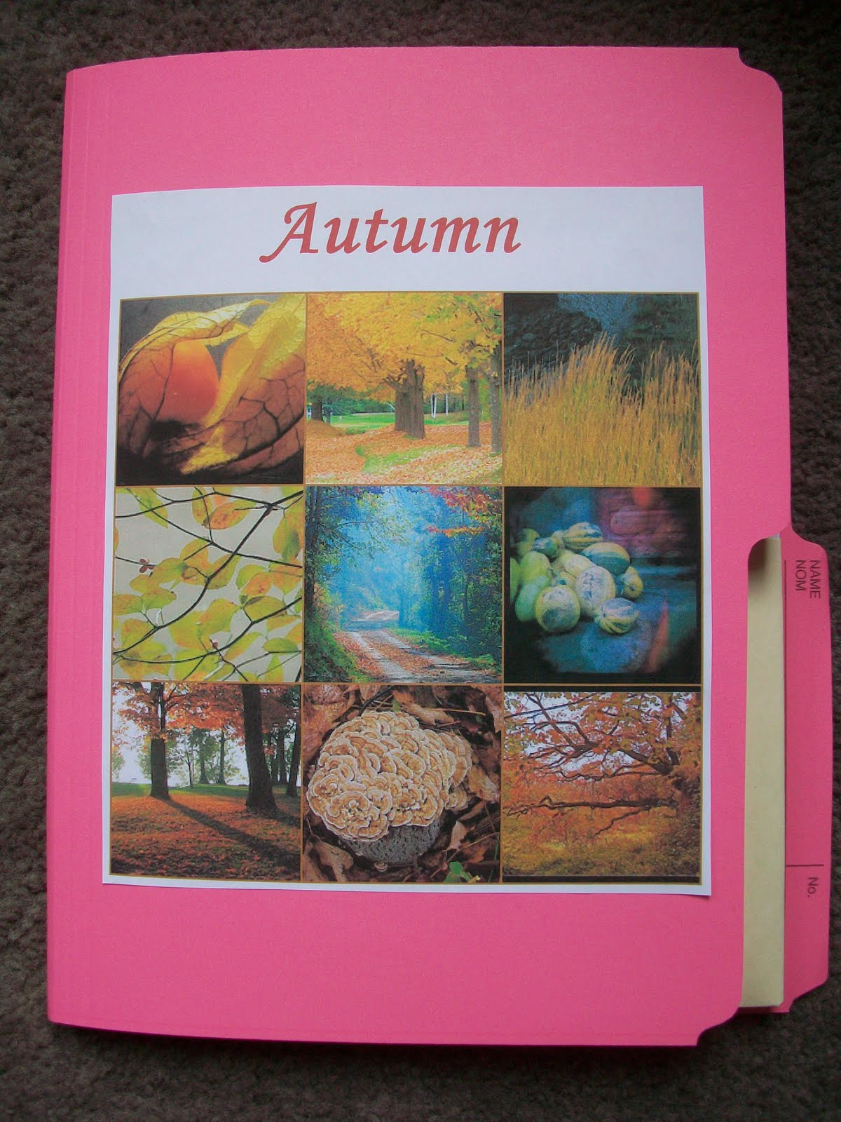 Created 2B Creative: Autumn Treasures DNG - Product Review