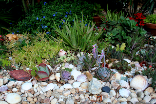 Deborah's Garden: May 2007