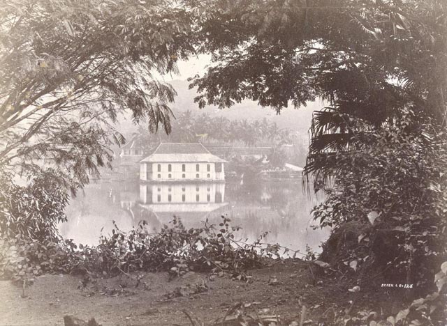 image001.jpg