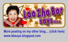 www.lzbsays.jpg