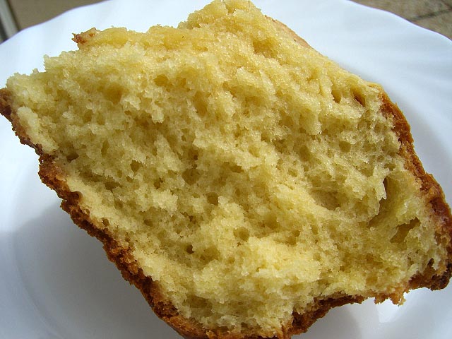 la Brioche qui se prenait pour un Kouglof… recettes dessert la brioche de Dani avec ma map panasonic SD255