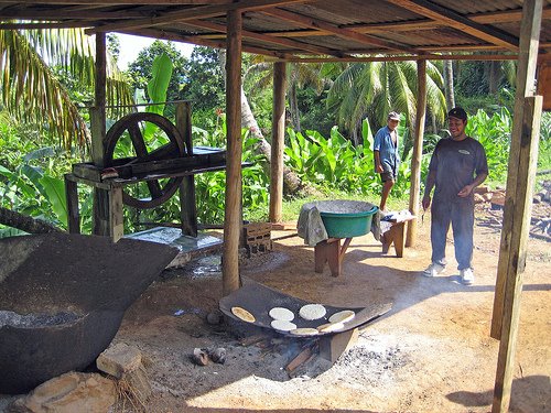 Kalinago making Cassava Bread