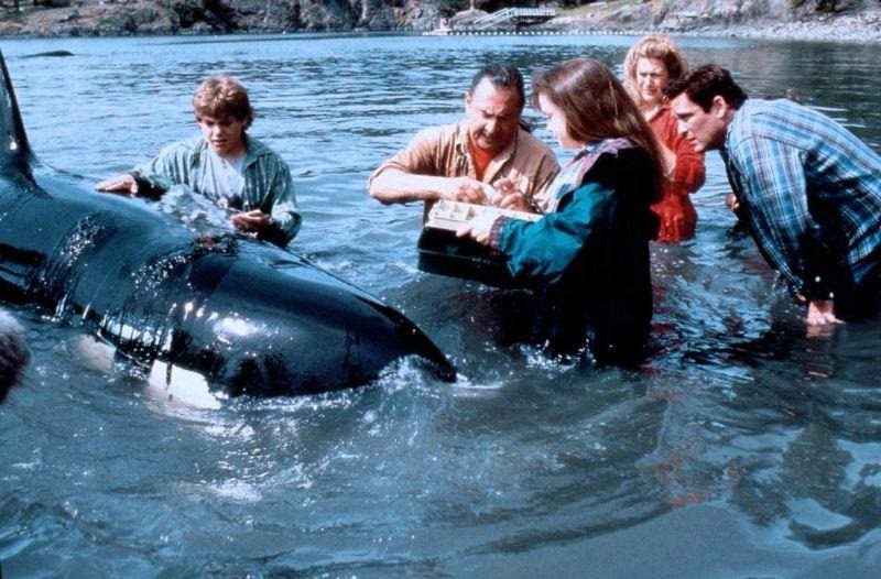 free willy 2 swim scene film location free willy 2 swim scene film location