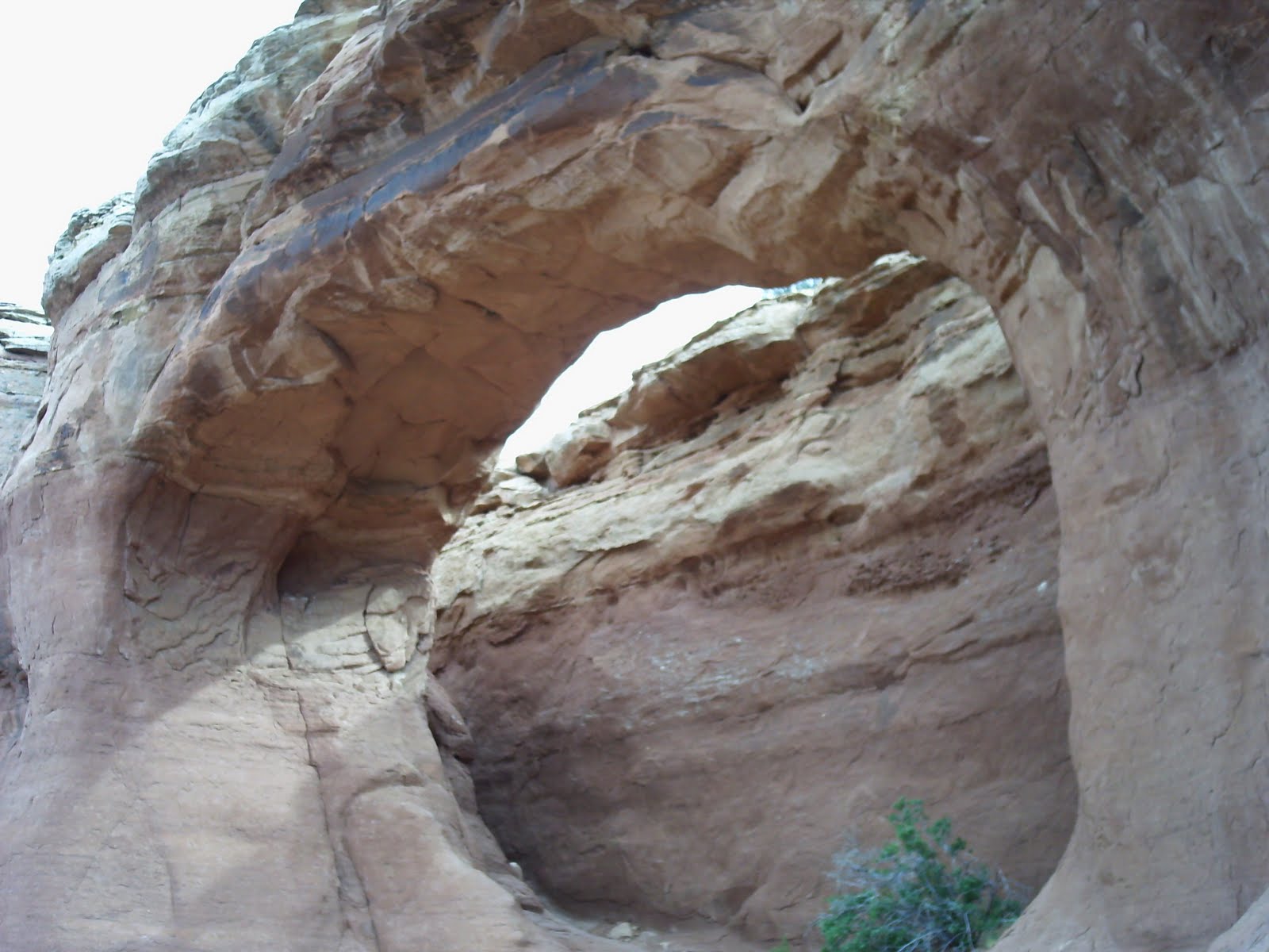 7Days6Nights Canyonlands, Needles District and Arches, Utah