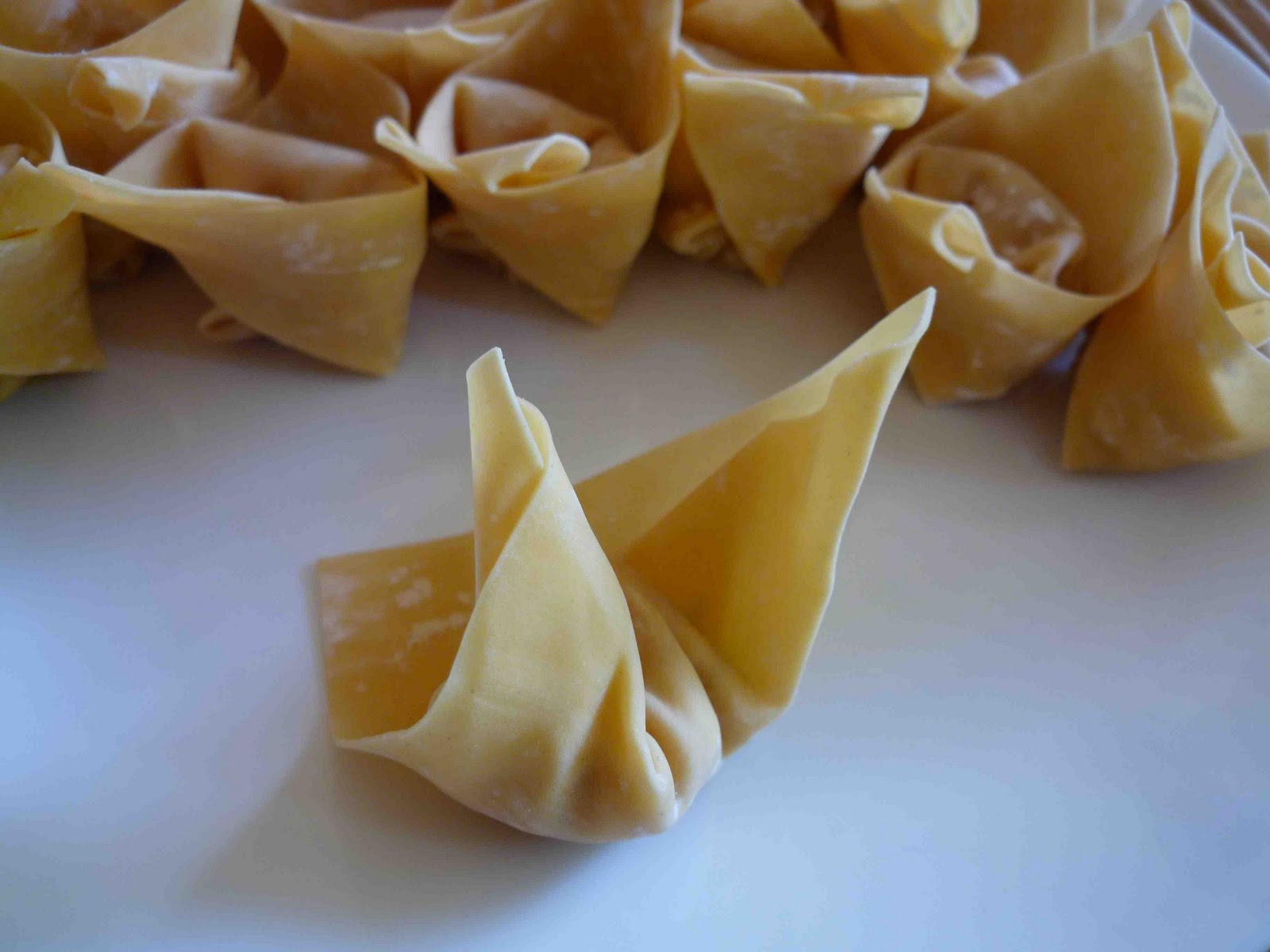 Home style Wontons