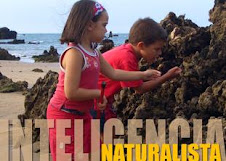 Inteligencia Ambientalista