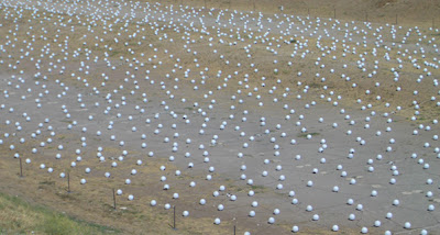 10.000 Changing-Color Light Globes (4) 2