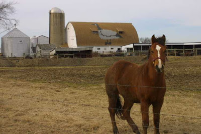 Roof Art Barns (18) 2