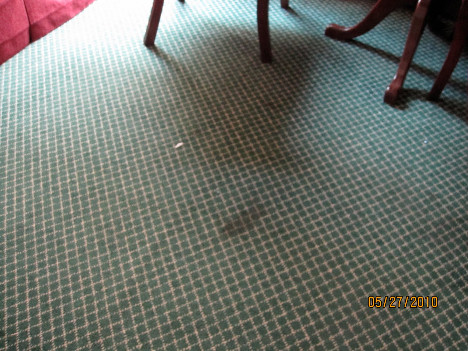 Sperm on carpet