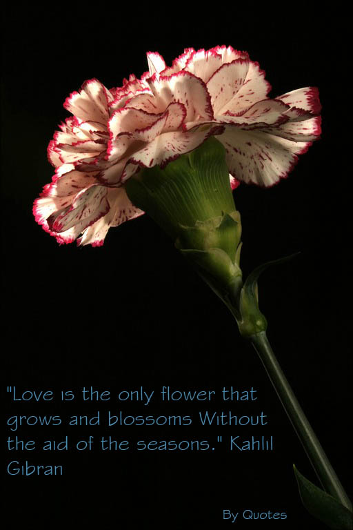 The Best Quotes For Me