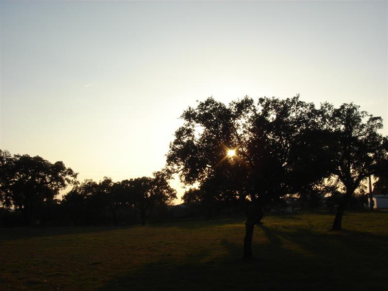 [camino+la+perdicion+009+(Medium).jpg]