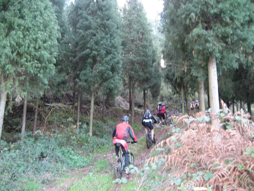 [IMG_4739angarna.jpg]