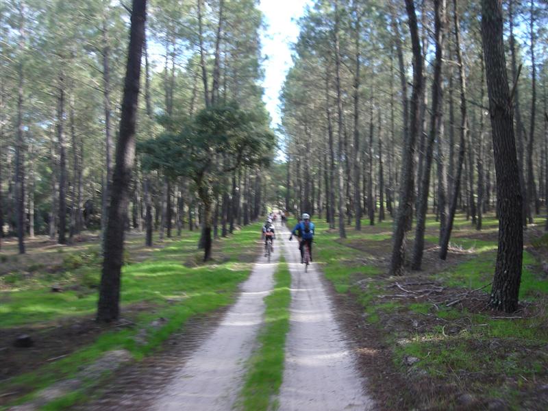 [DSC00401+(Medium).JPG]