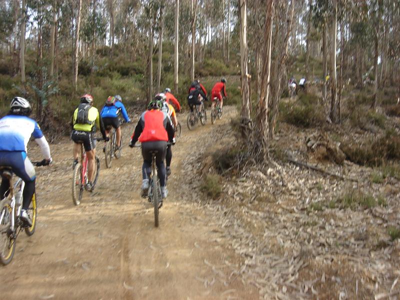 [Transaguieira+008+(Medium).jpg]