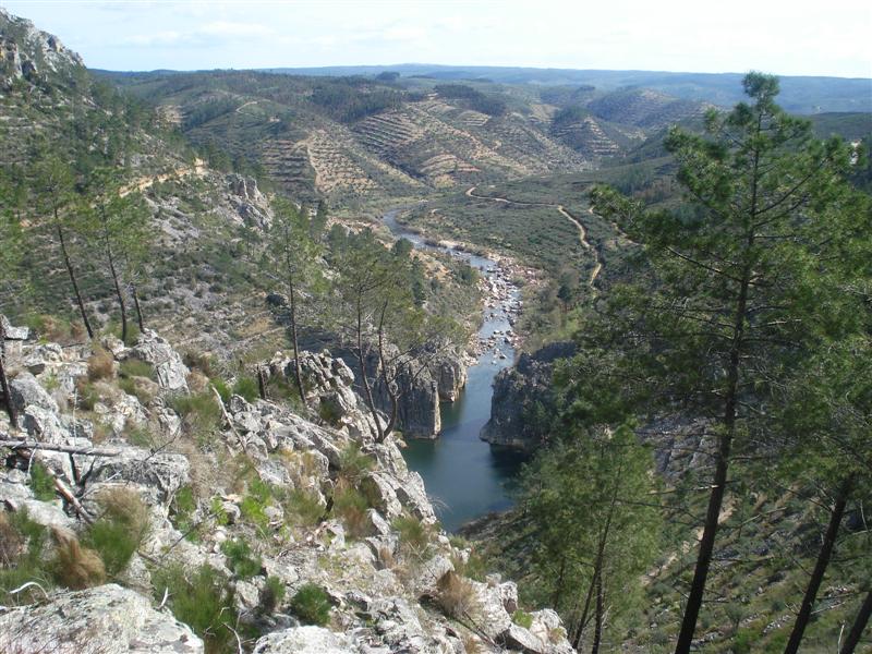 [DSC02057+(Medium).JPG]