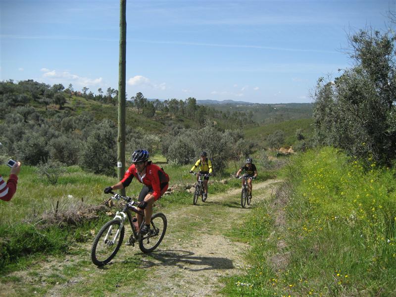 [IMG_5994+(Medium).JPG]