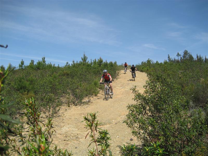 [IMG_5948+(Medium).JPG]