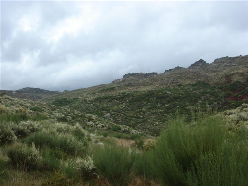 [Rotas+do+Marão+093+(Medium).jpg]