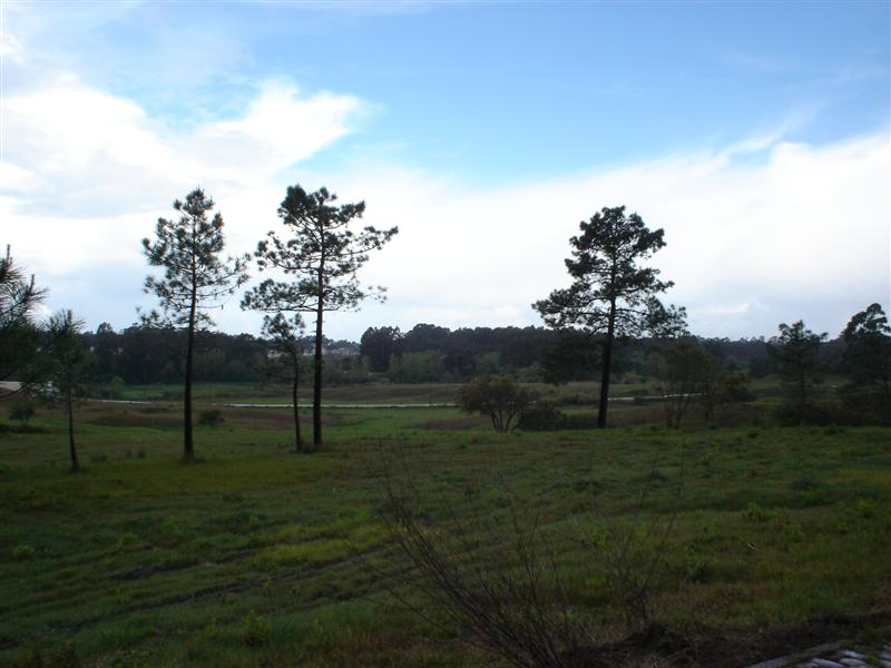 [Passeio+G.D.+Verdemilho+028+(Medium).jpg]