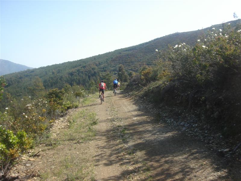 [Maratona+do+Paul+2008+106+(Medium).jpg]