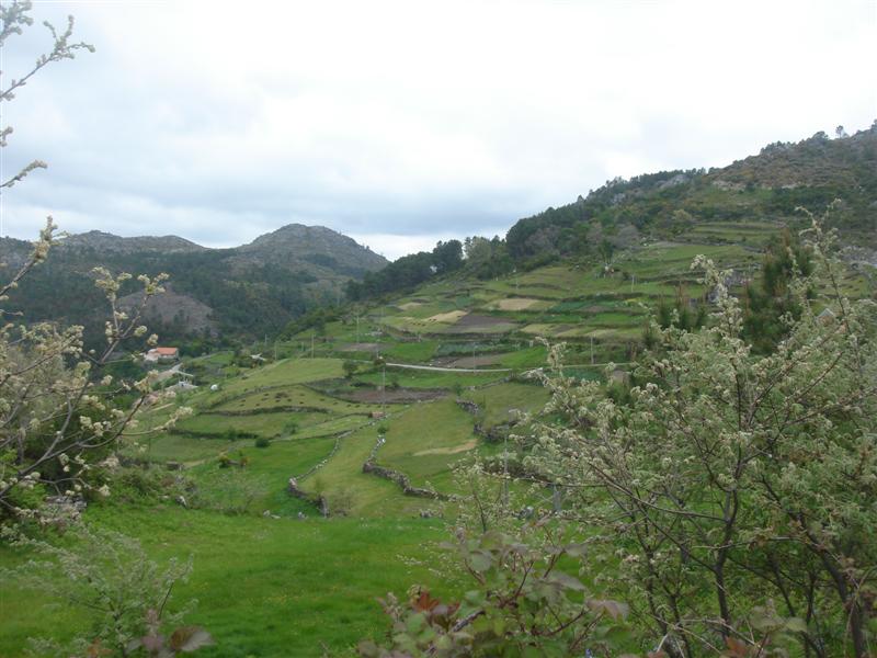 [Caramulinho+10+maio+105+(Medium).jpg]